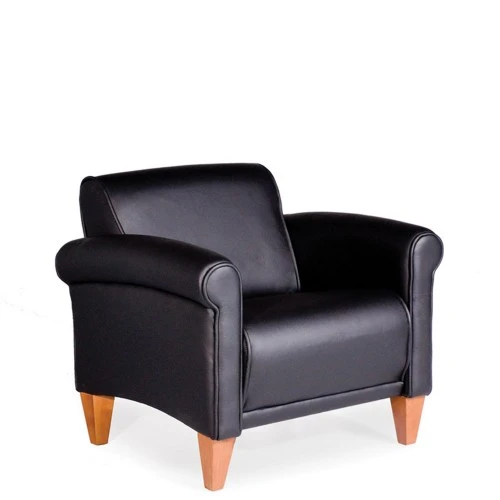 Lazboy BACL10 Camden Park Lounge Chair With Matching Welt 1 Lazboy BACL10 Camden Park Lounge Chair With Matching Welt