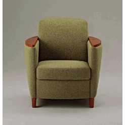 Adden Exeter, Healthcare Single Seat Sofa Lobby Chair