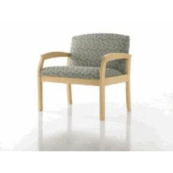 Studio Q Healthcare Reflections Bariatric Chair