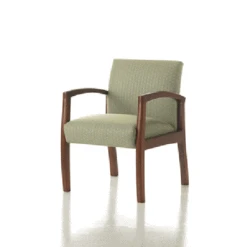 Studio Q Healthcare Inspire Guest Chair